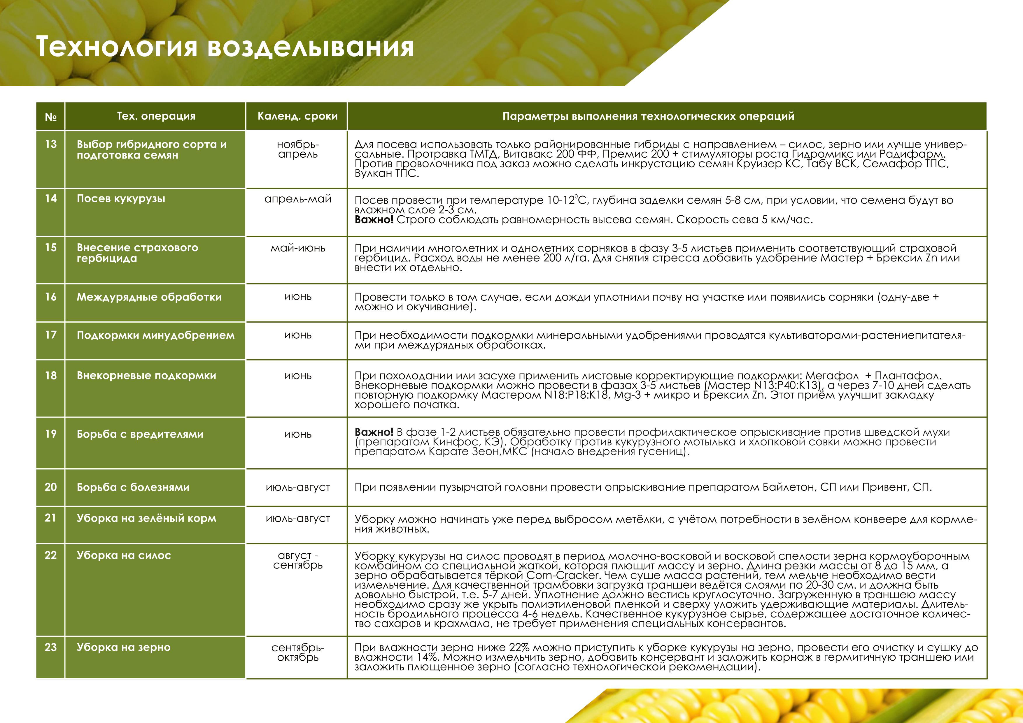 Технологическая карта по возделыванию кукурузы